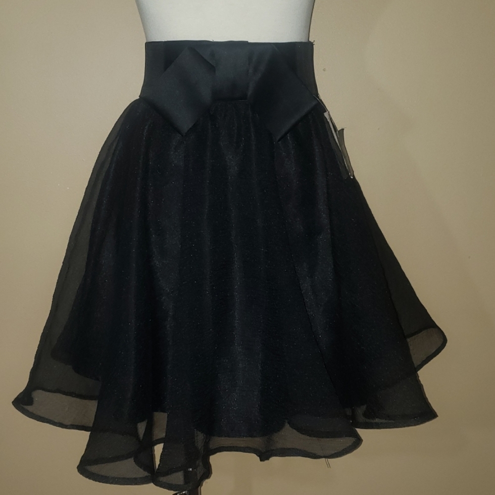 New Chiffon Skirt